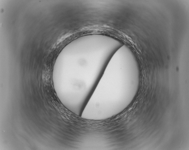 X0000087001158200704161218