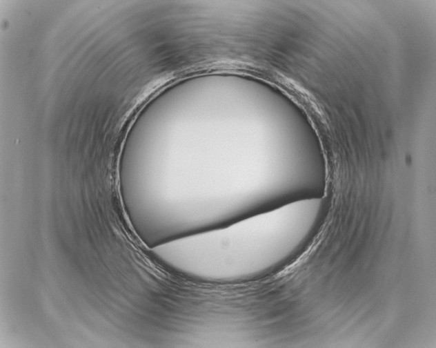 X0000087001170200704161217
