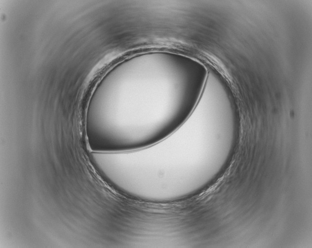 X0000087001172200704161217