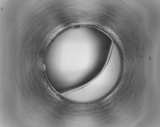 X0000087001177200704161217