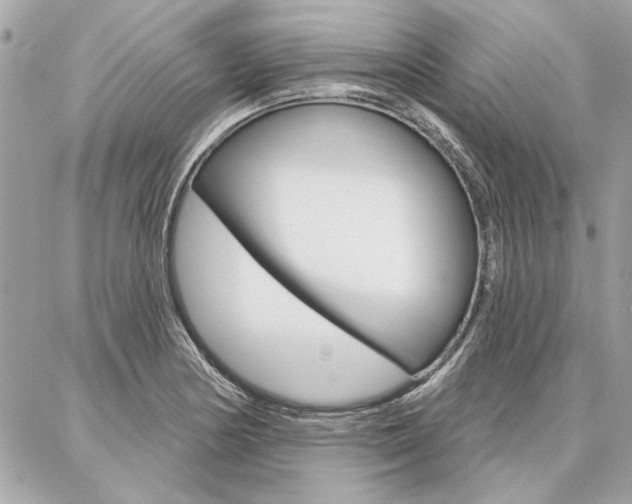 X0000087001178200704161217