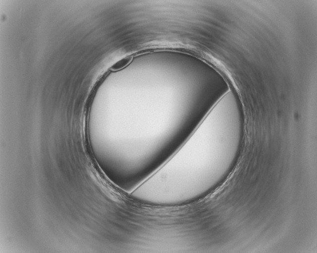 X0000087001179200704161217