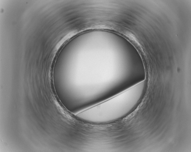 X0000087001181200704161217