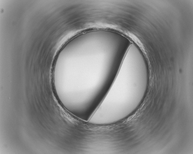 X0000087001183200704161217