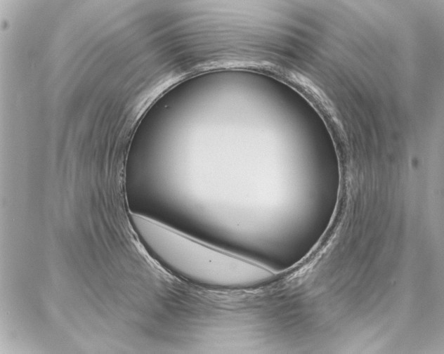 X0000087001185200704161217