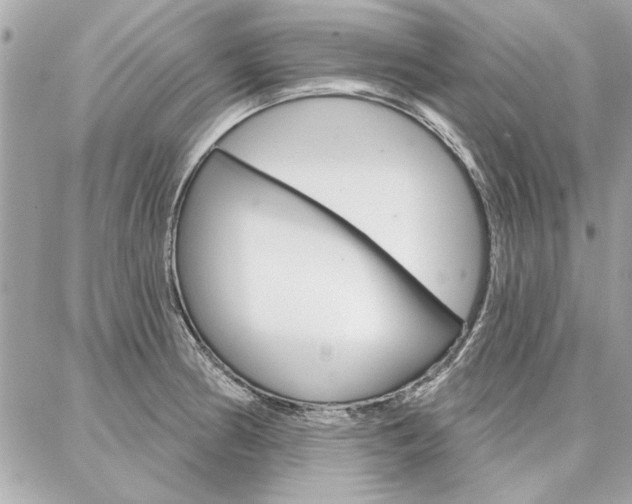 X0000087001186200704161217