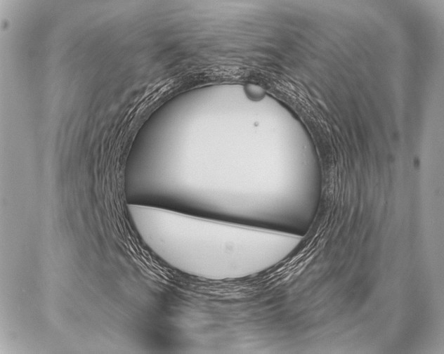 X0000087001201200704161216
