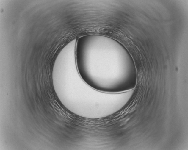 X0000087001202200704161216
