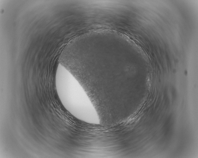 X0000087001203200704161216