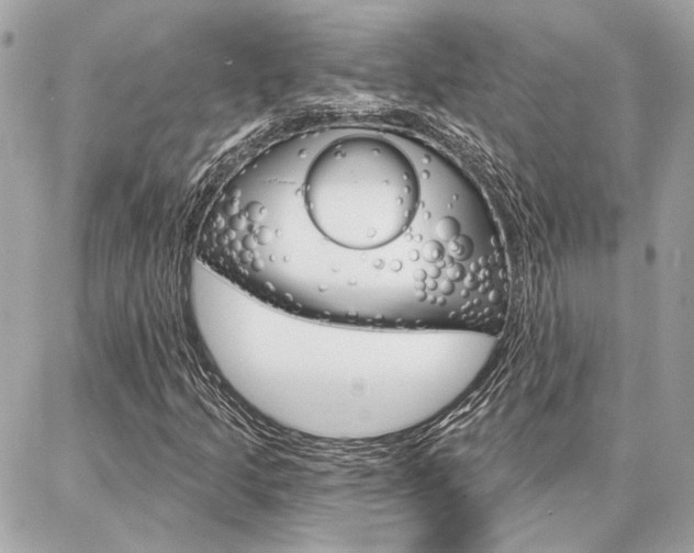 X0000087001205200704161216