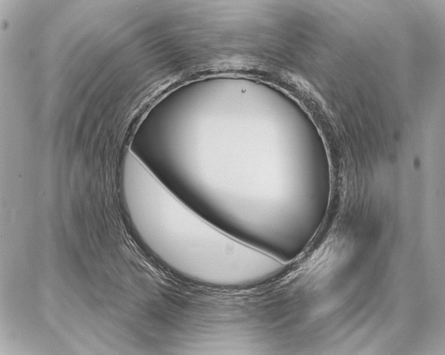 X0000087001217200704161216