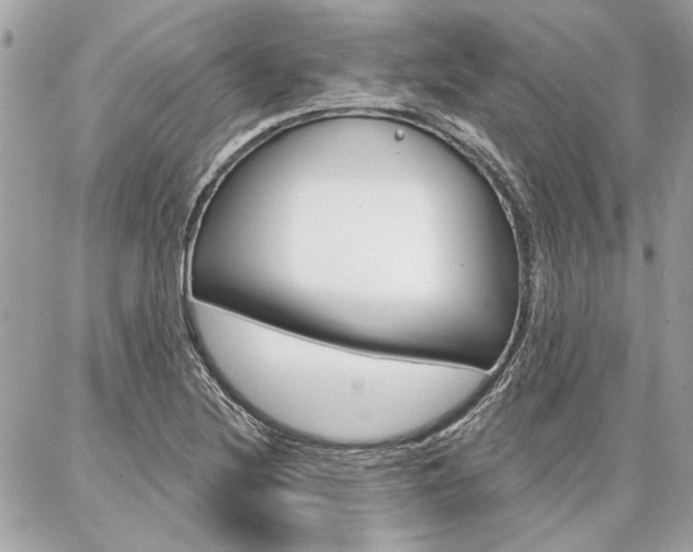 X0000087001220200704161216