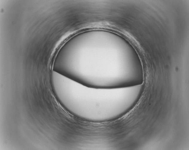 X0000087001224200704161217