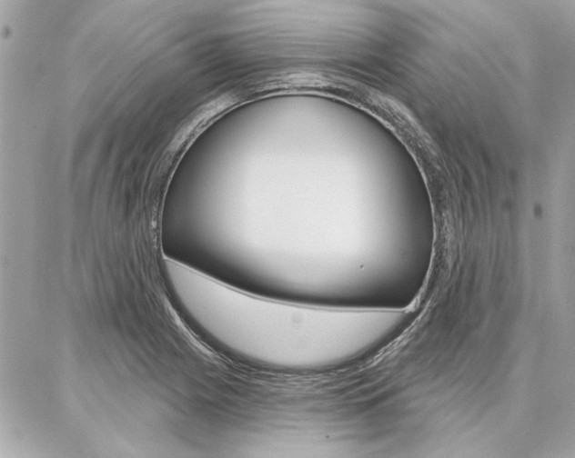 X0000087001225200704161217