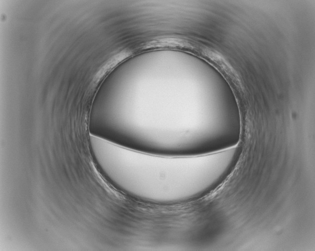 X0000087001233200704161217