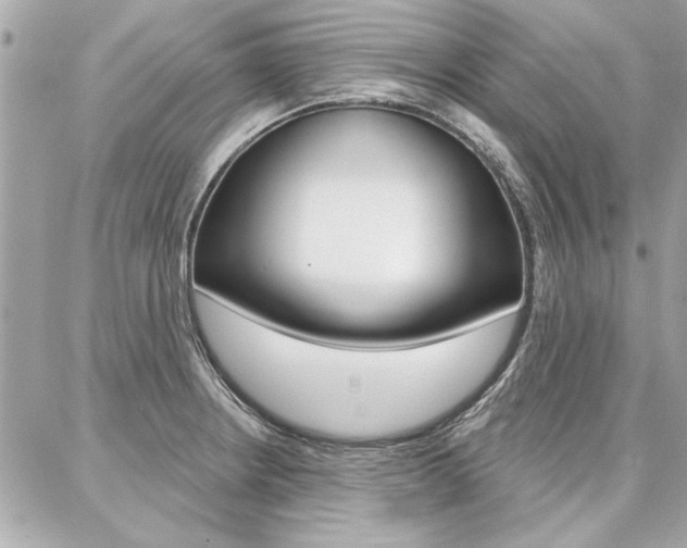 X0000087001234200704161217
