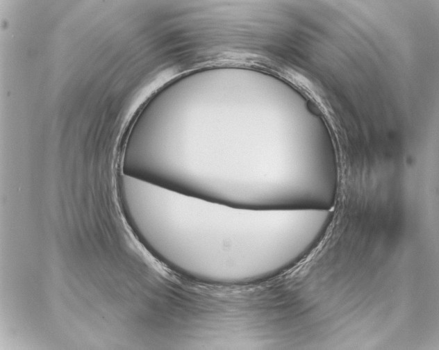X0000087001235200704161217