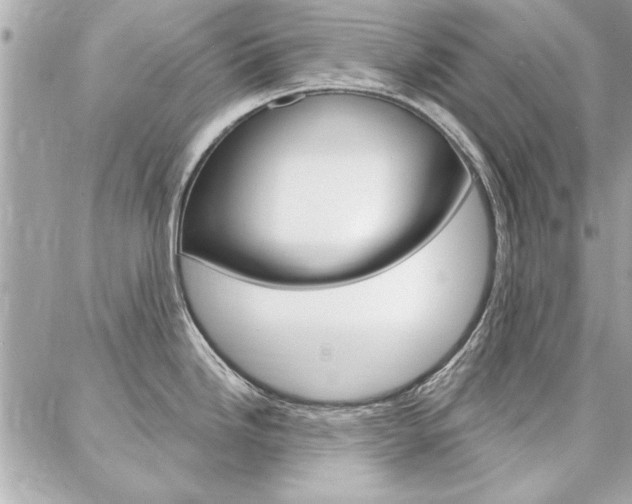 X0000087001246200704161217