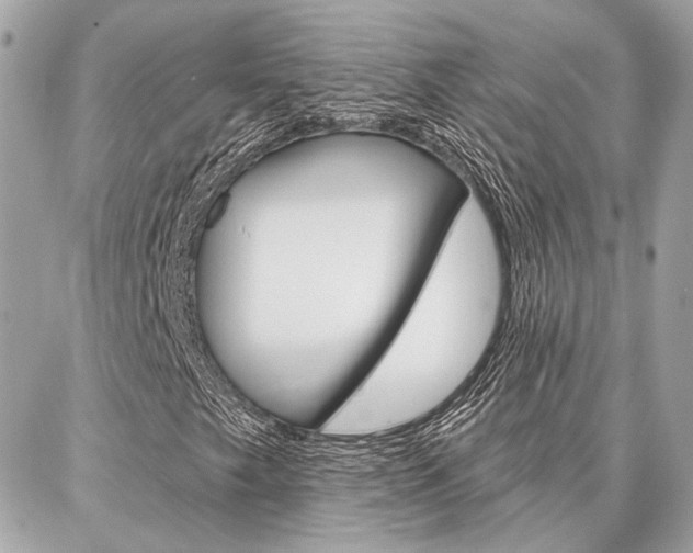 X0000087001249200704161216