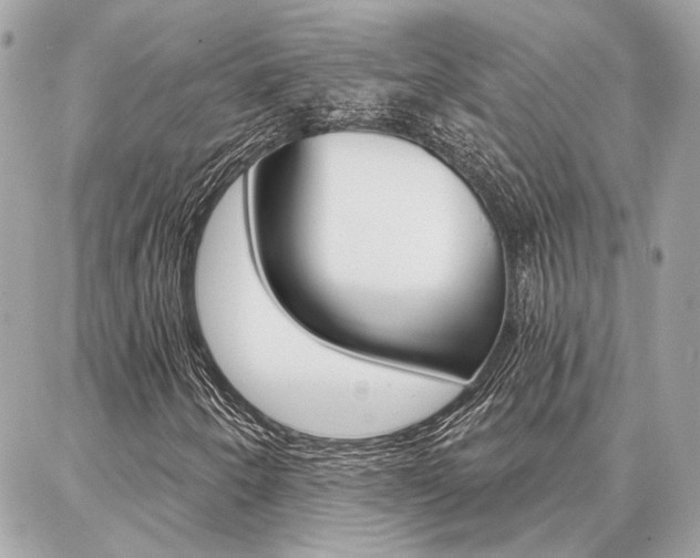 X0000087001250200704161216