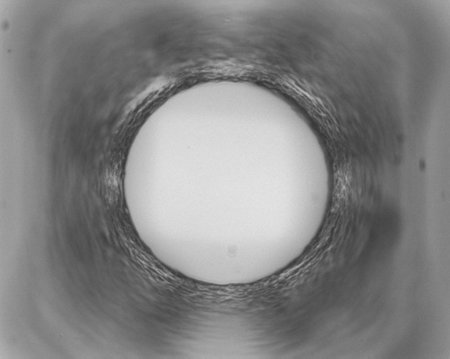 X0000087001254200704161216
