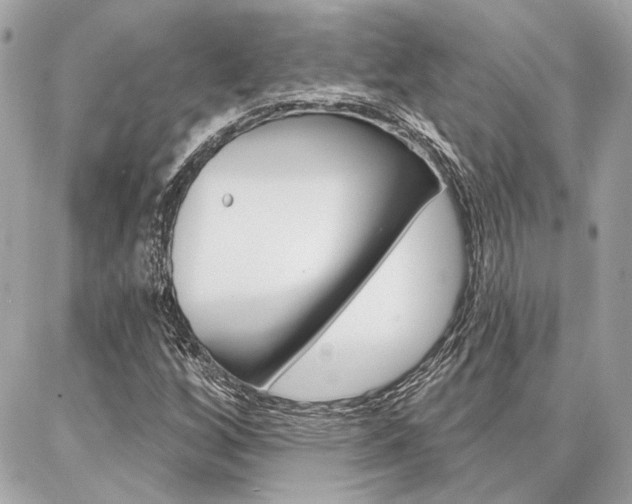 X0000087001256200704161216