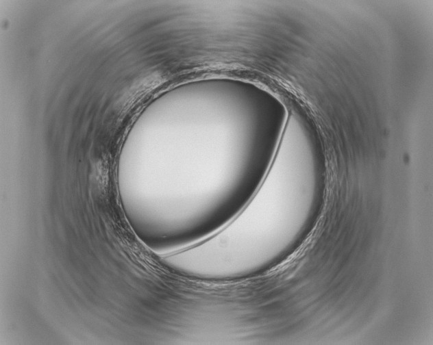 X0000087001257200704161216