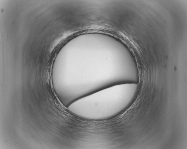 X0000087001262200704161216