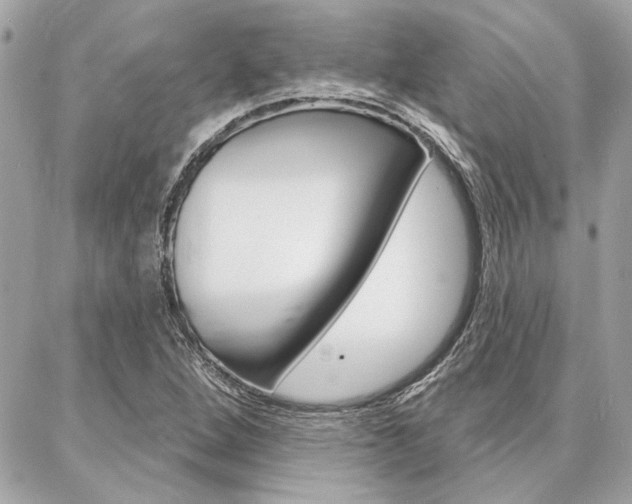 X0000087001264200704161216