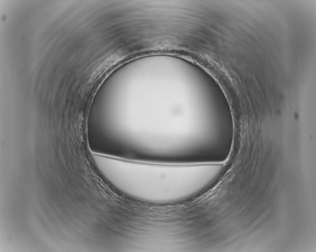 X0000087001265200704161216