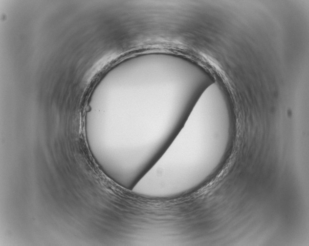 X0000087001267200704161216