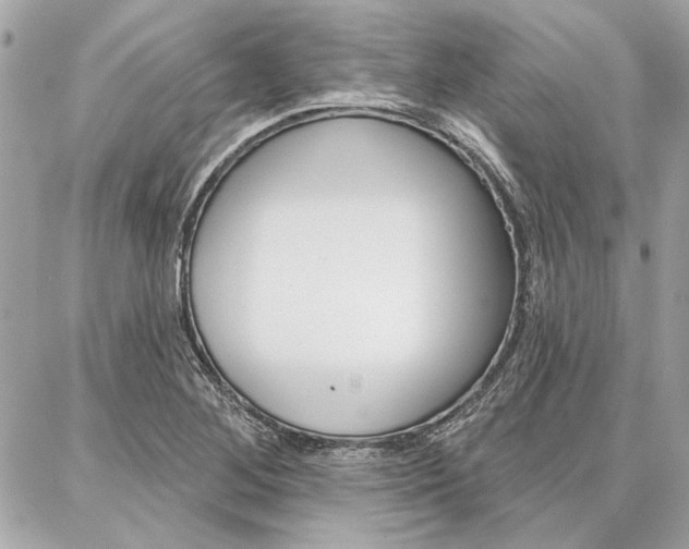 X0000087001268200704161216