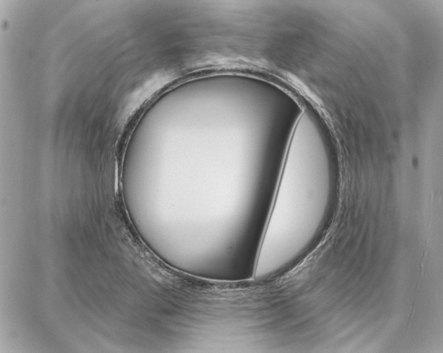 X0000087001269200704161216