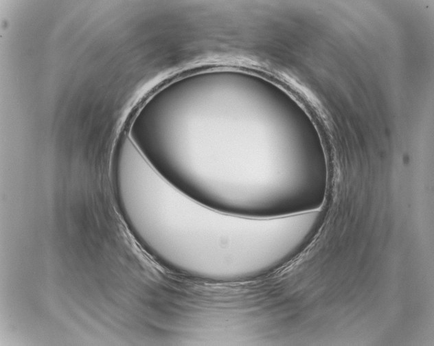 X0000087001272200704161216