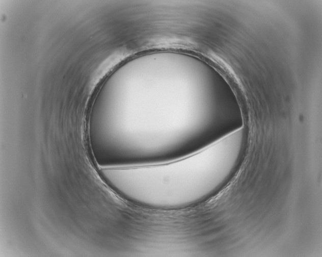X0000087001277200704161216
