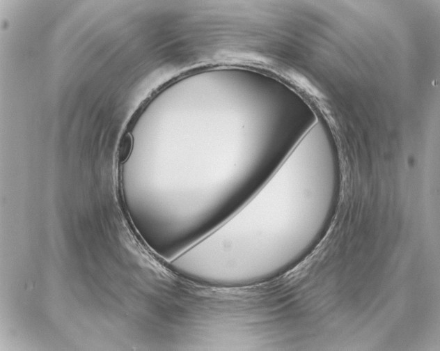X0000087001280200704161216
