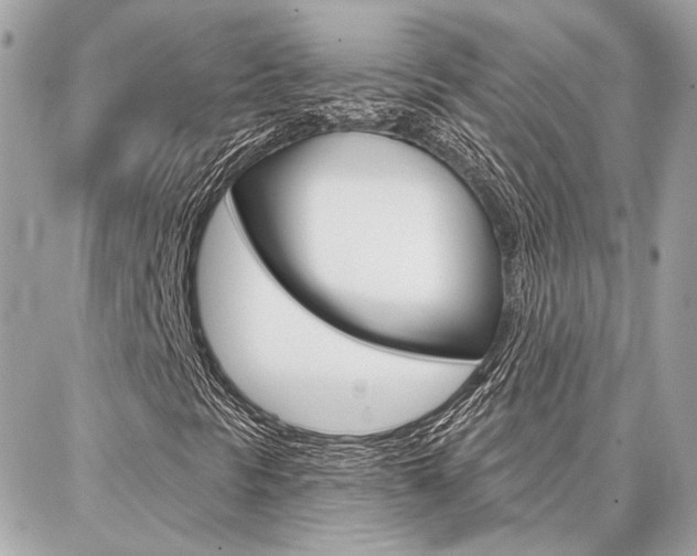 X0000087001297200704161215