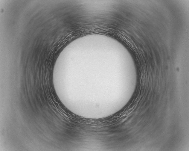 X0000087001298200704161215