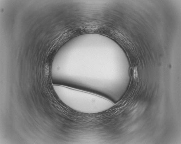 X0000087001299200704161215