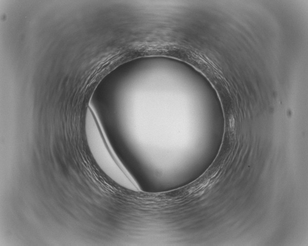 X0000087001300200704161215