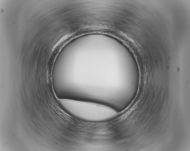 X0000087001306200704161215