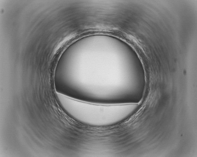 X0000087001307200704161215