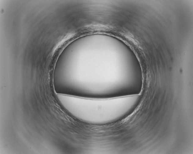 X0000087001309200704161215