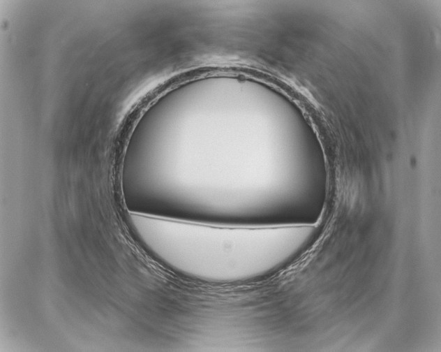 X0000087001311200704161215