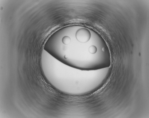 X0000087001313200704161215