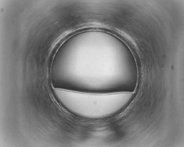 X0000087001318200704161215
