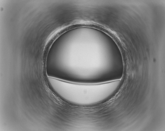 X0000087001319200704161215