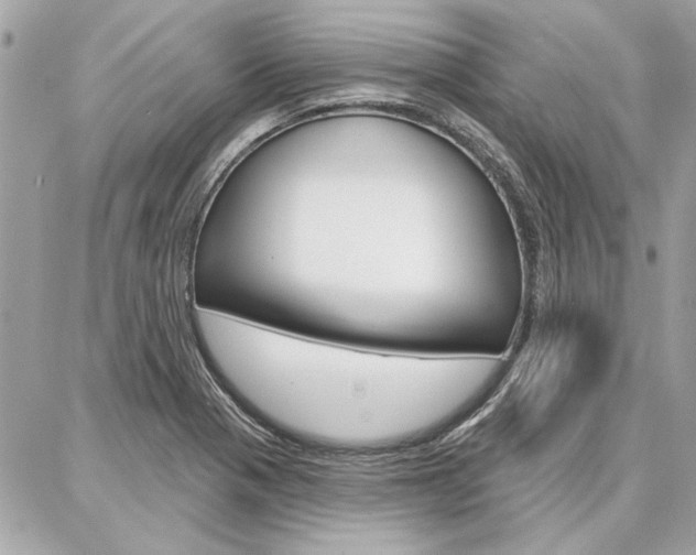 X0000087001321200704161215