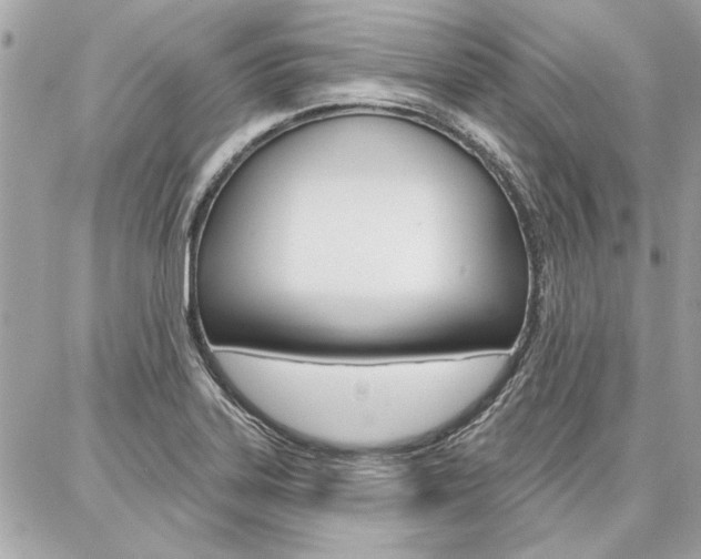 X0000087001323200704161215