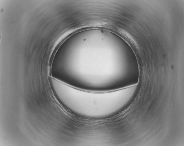 X0000087001324200704161215